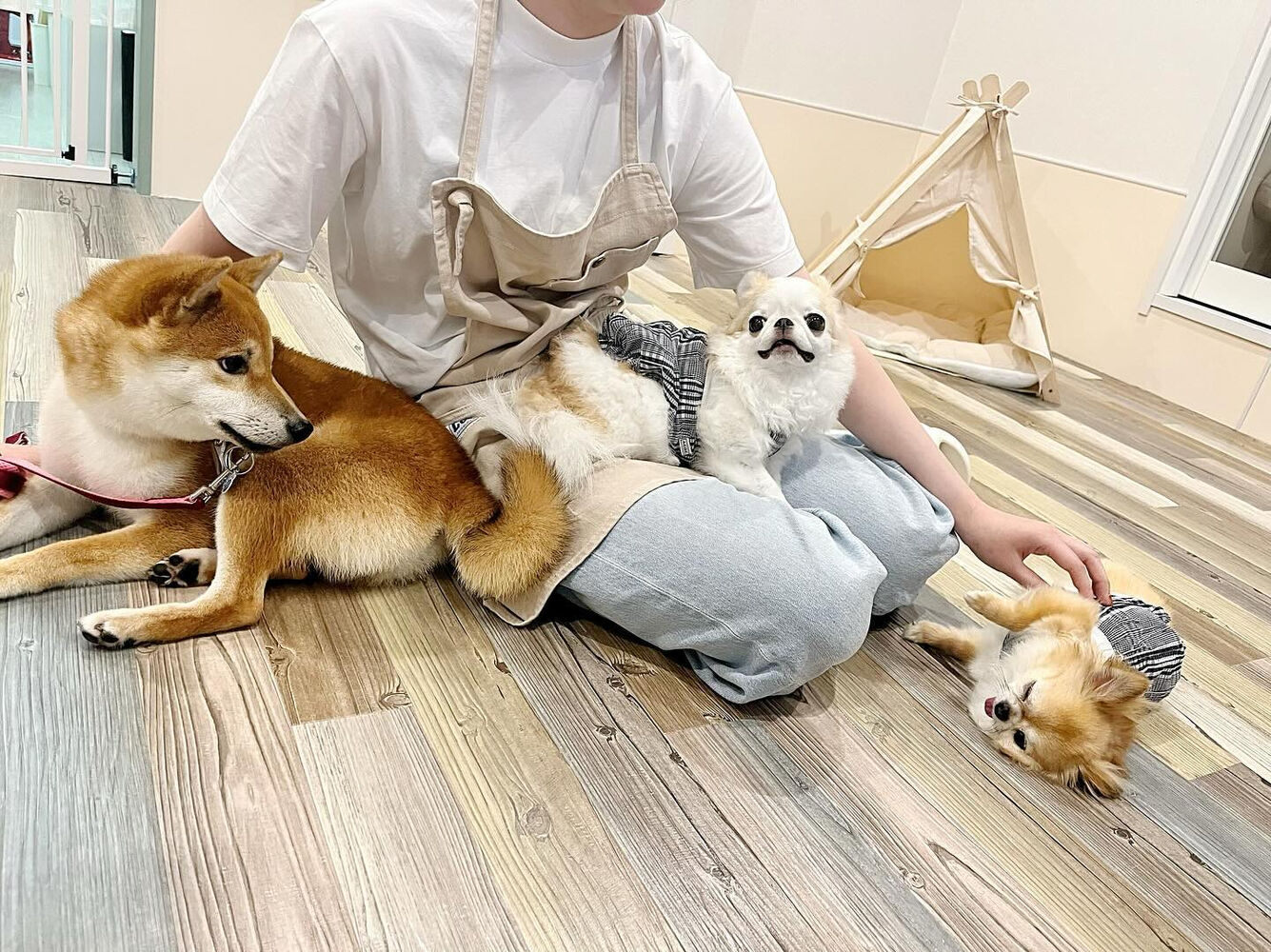 ブログ