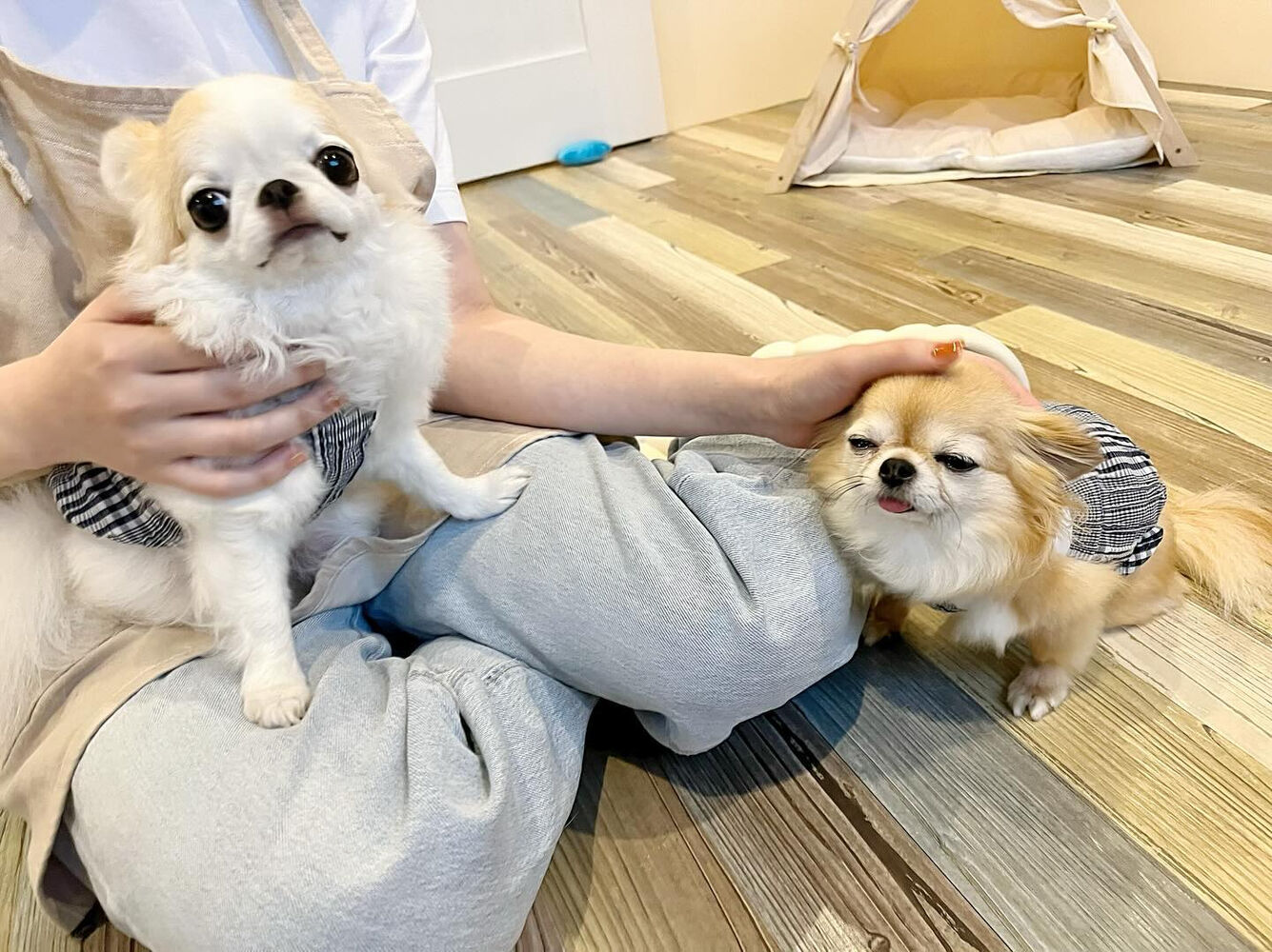 ブログ