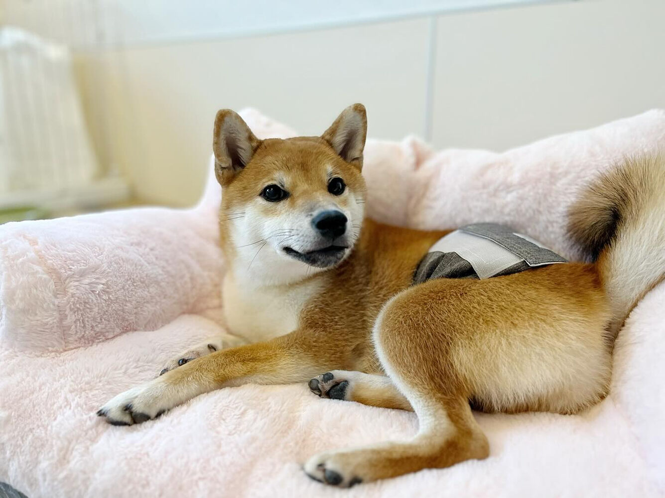 ブログ