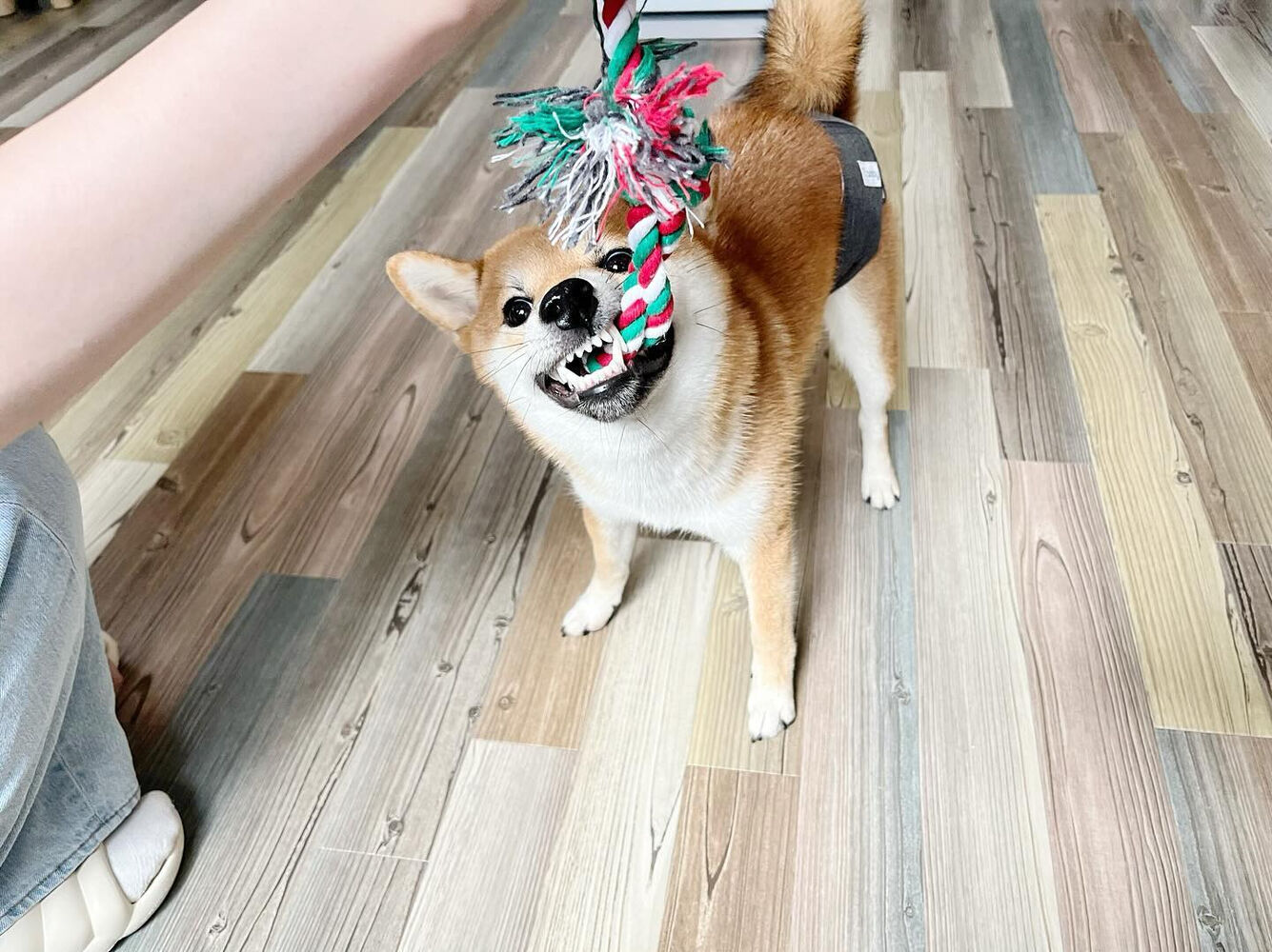ブログ