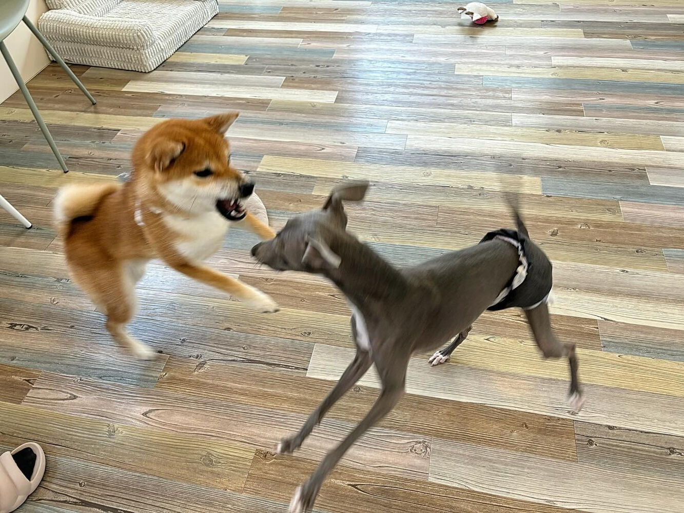 ブログ