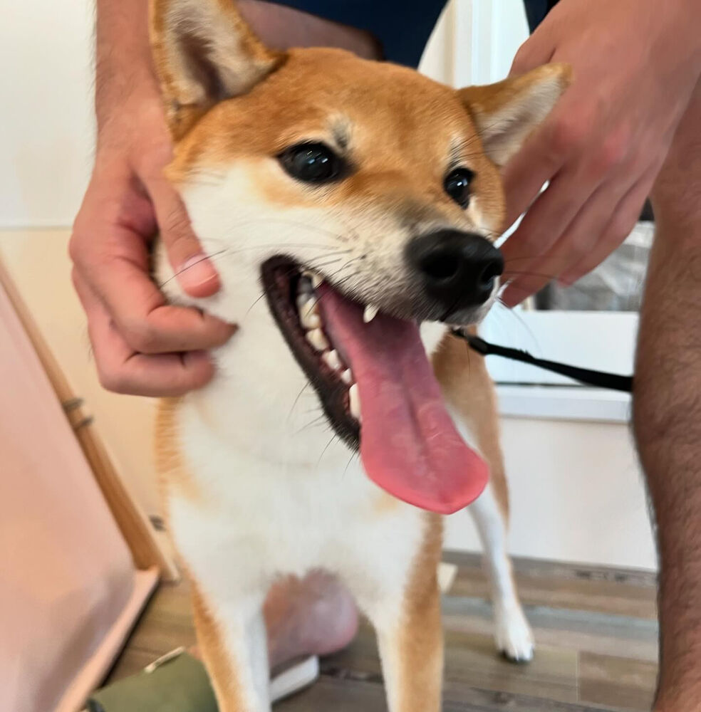 ブログ