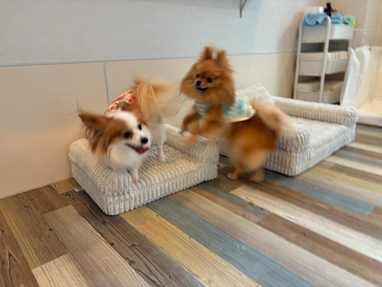 ブログ