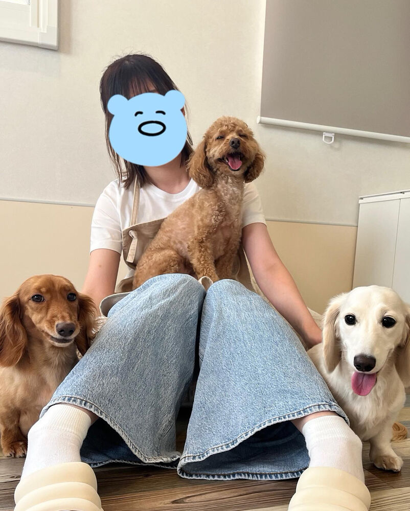 ブログ