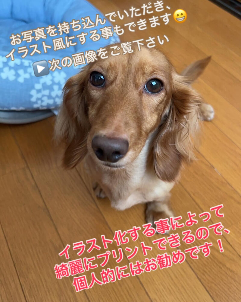 ブログ