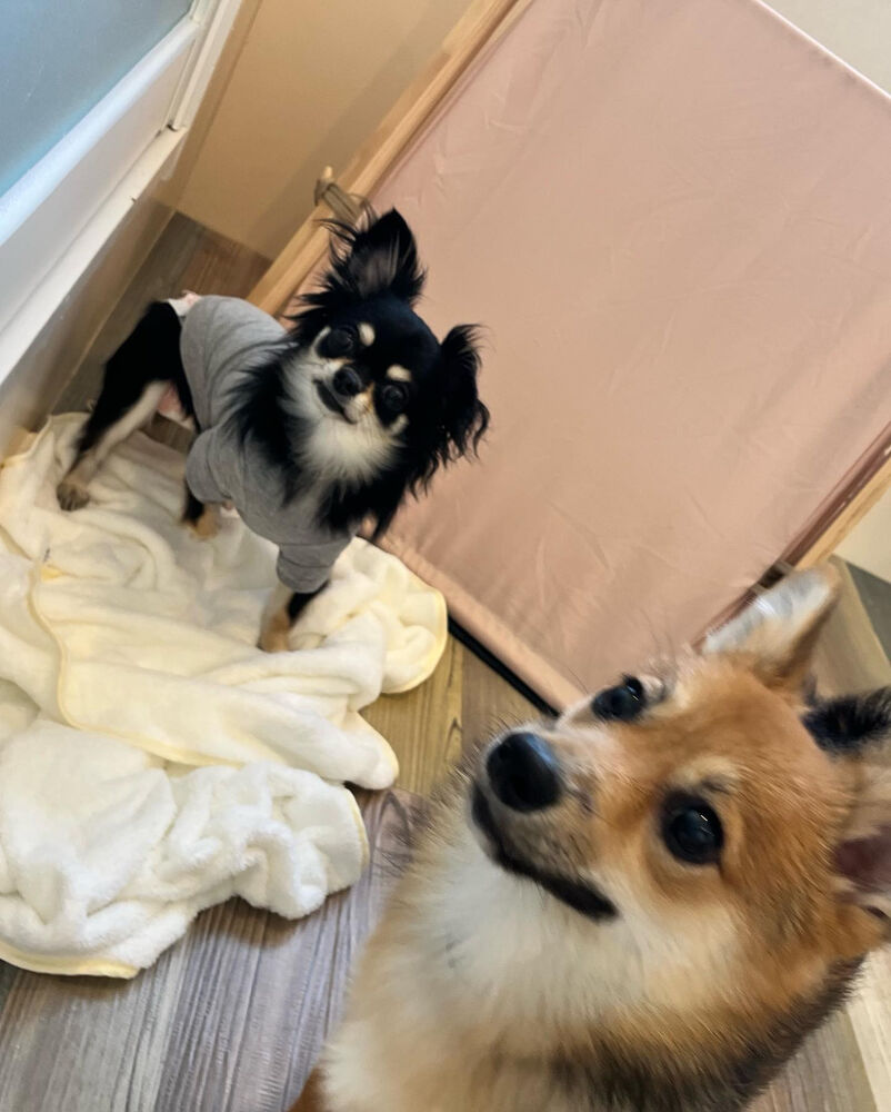 ブログ