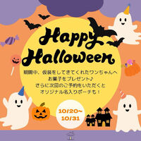 ブログ
