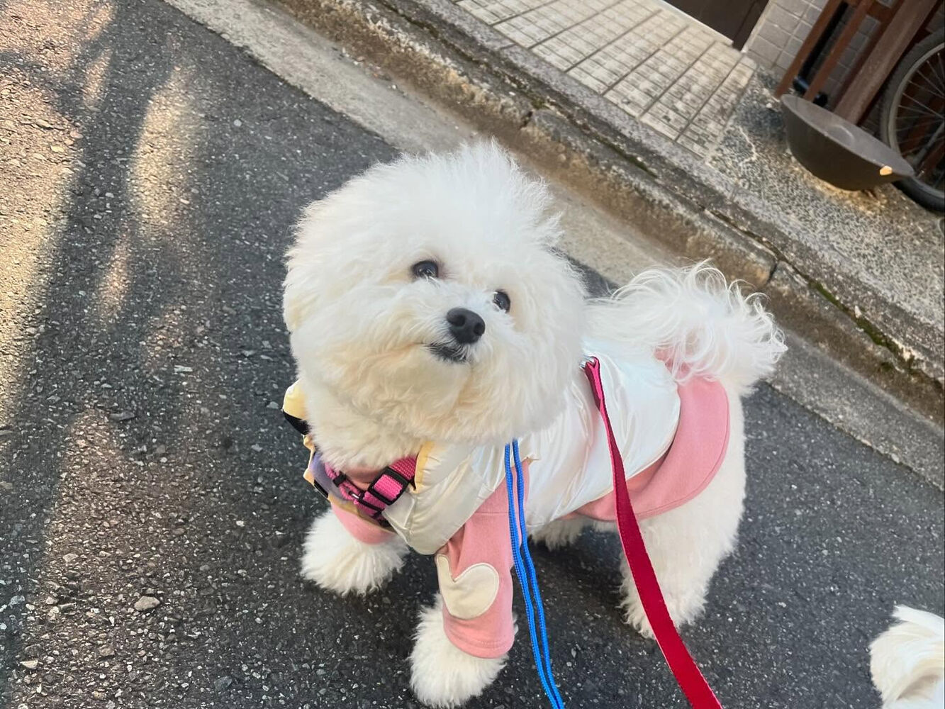 ブログ