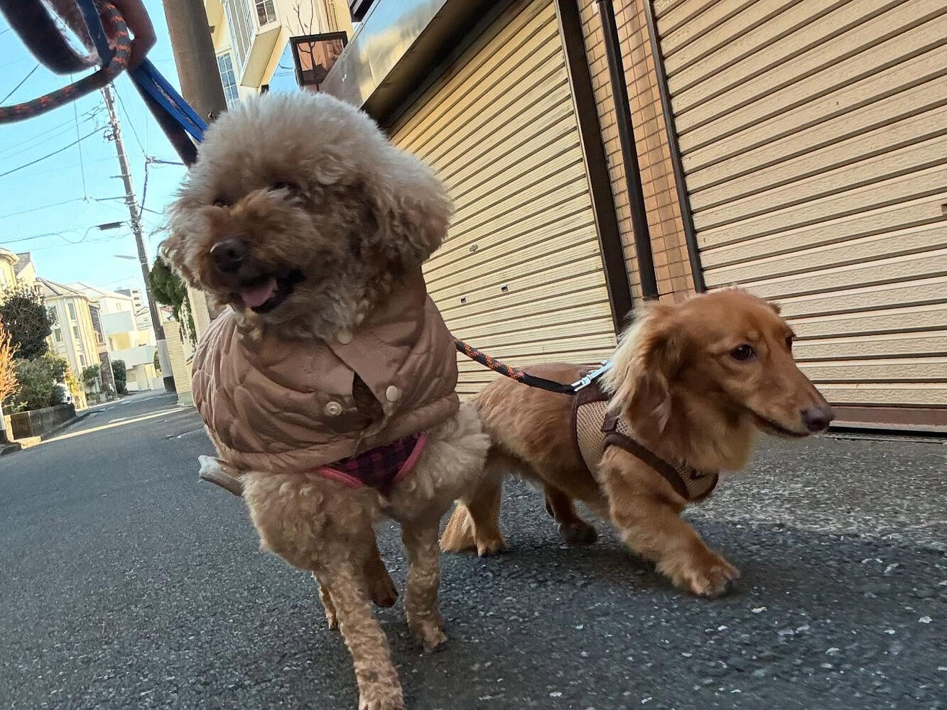 ブログ