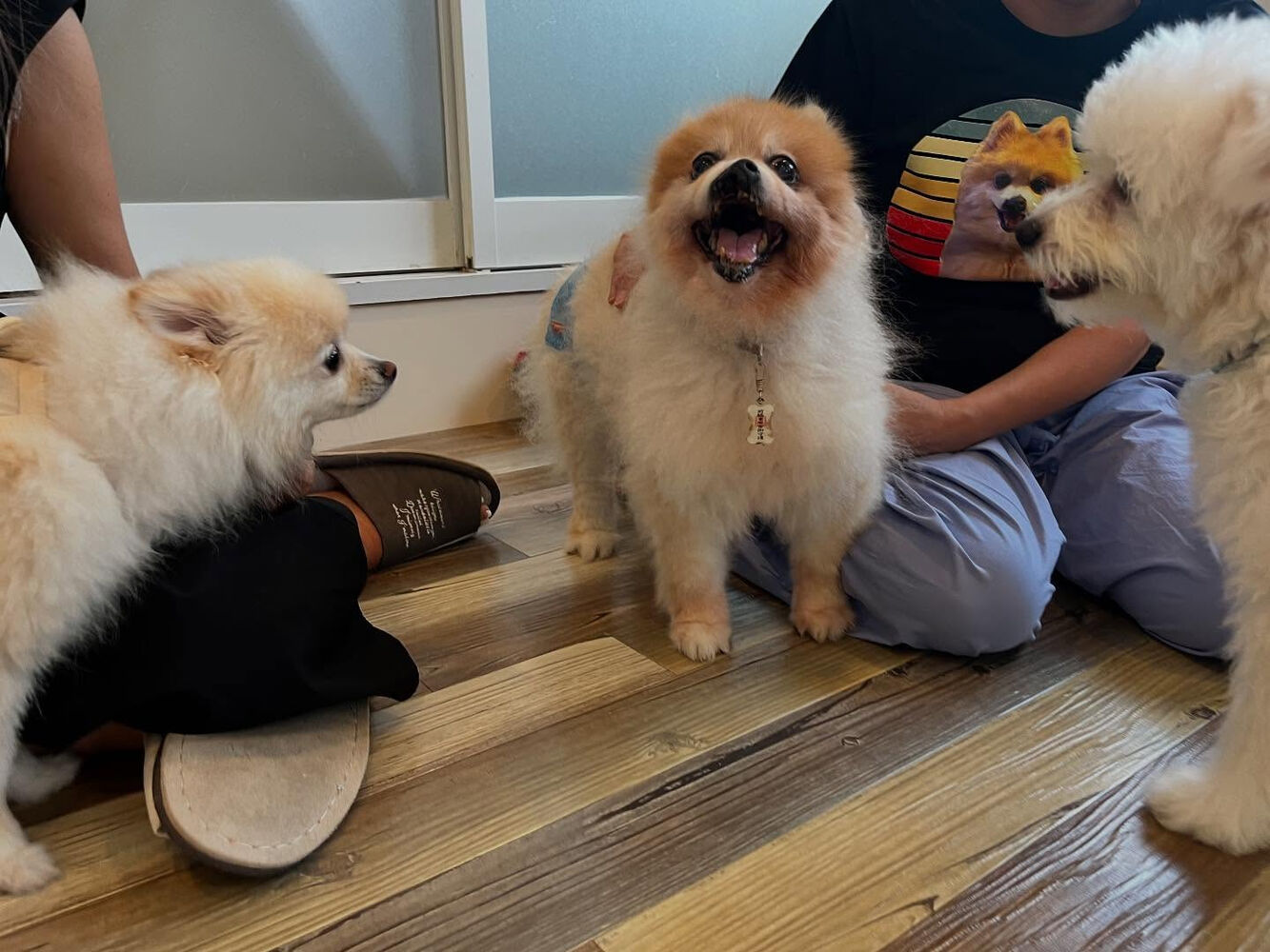 ブログ